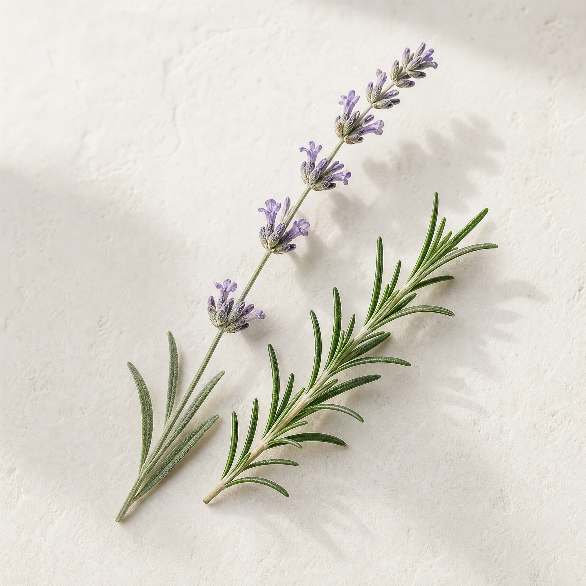 Botanische ingredienten